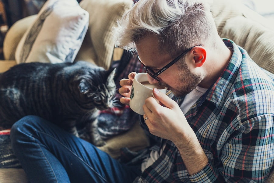 gato adulto calmado con persona bebiendo cafe en sofa