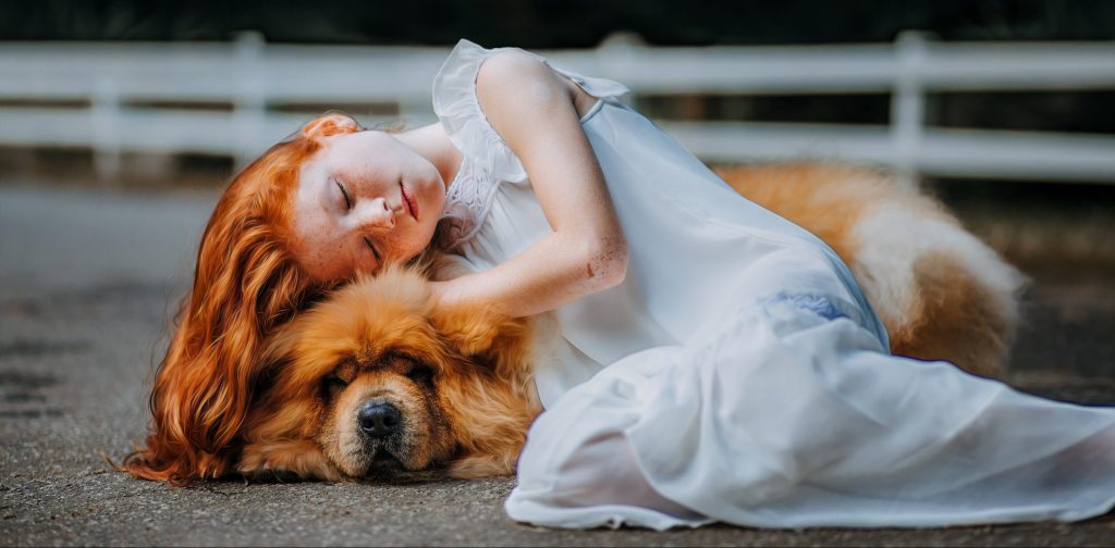 Todos lo que necesitas saber sobre la adopción de perros