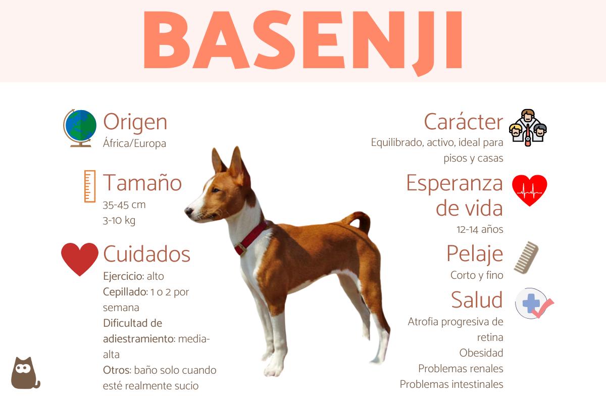 que sonido hace un perro basenji