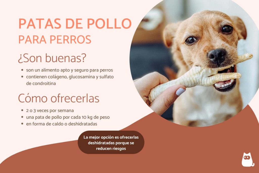 pueden los perros digerir huesos de pollo