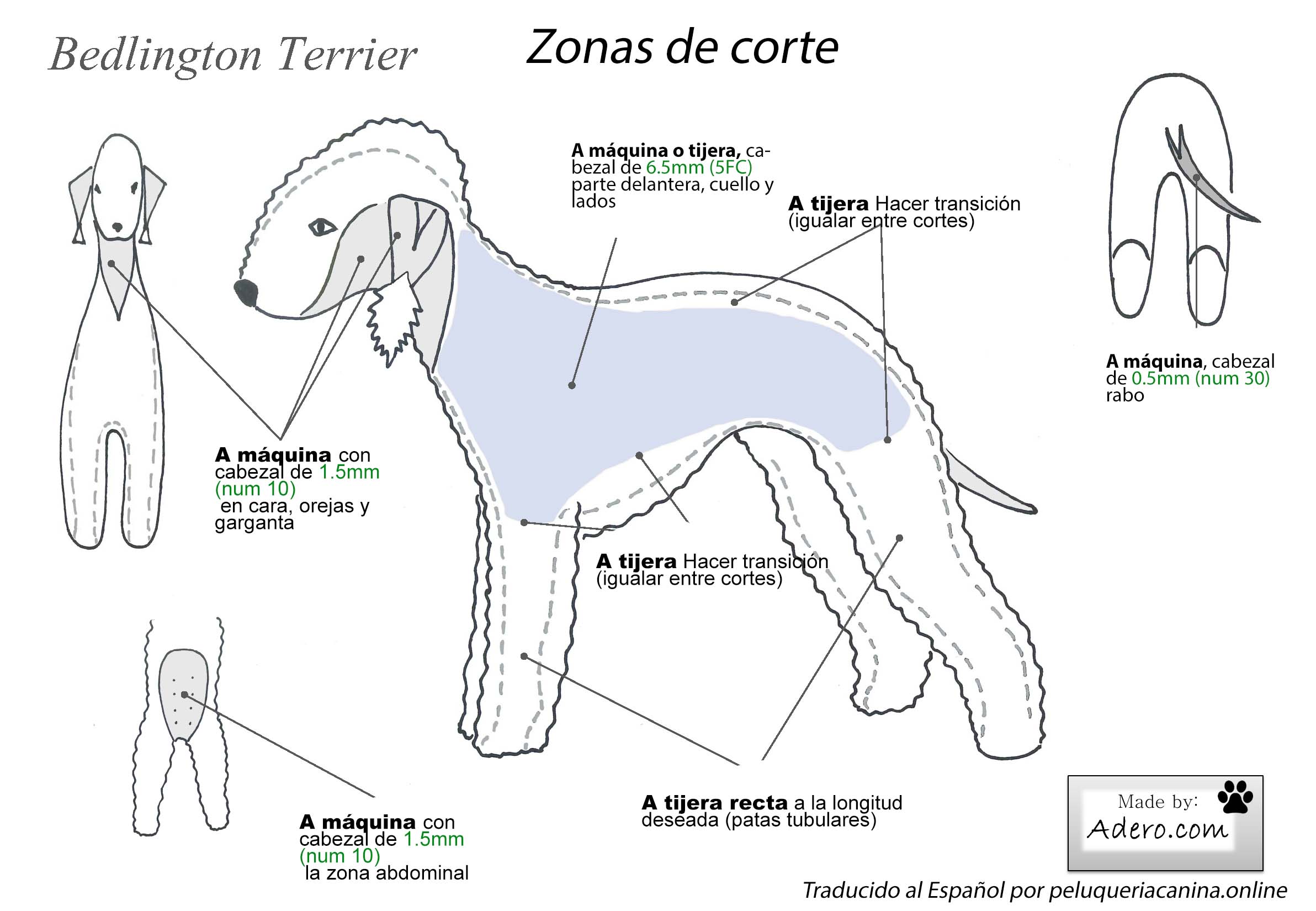 que tipo de pelaje tiene un bedlington terrier